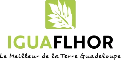 Iguaflhor