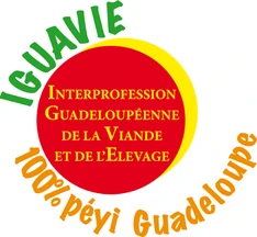 Iguavie